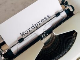 wordpress development company